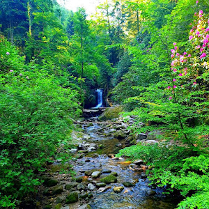 Geroldsauer Wasserfall — fotografia 3