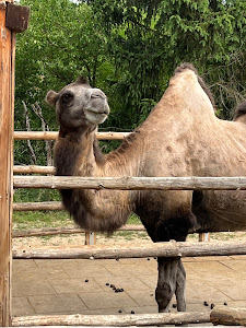 Zájezd Zoo — fotografia 5