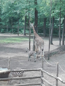 Parcul Zoologic din Szeged — fotografia 3