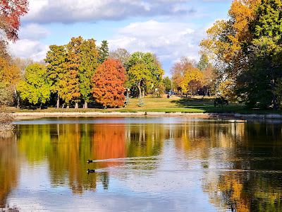 Martonvásári Park Conservation Area — fotografia 5