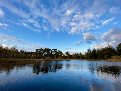 Het Nationale Park De Hoge Veluwe — fotografia 5