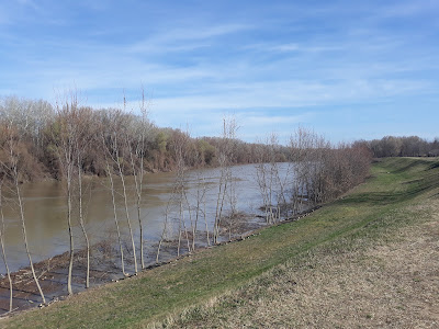 Tisza-parti kilátó — fotografia 5