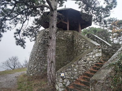 Flóra-pihenő — fotografia 4