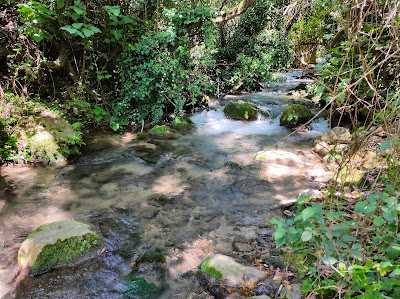 Inicio sendero rio Majaceite — fotografia 3