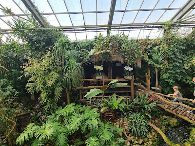 Pantropica — fotografia 3