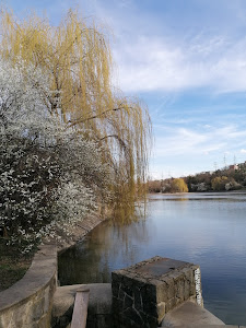 Hamerský rybník