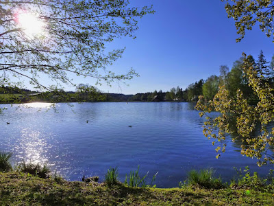Campingplatz Hammerschmiedesee - Joachim Hug — fotografia 4
