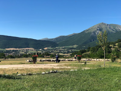 Agricamping Brandimarte — fotografia 3