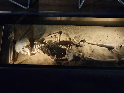 Yacimiento Arqueológico Gadir — fotografia 5