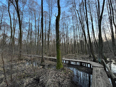Lublinek Wilderness Preserve — fotografia 5