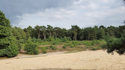 Natuurkampeerterrein Leenderbos — fotografia 5