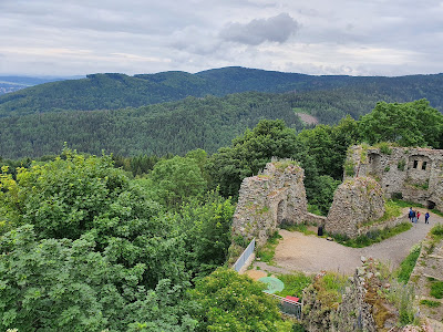Tollenstein Castle Ruins — fotografia 5