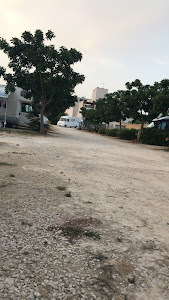 Il Giardino dell'Emiro Oasi CAMPER — fotografia 5