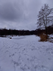 Großer Tiroler See — fotografia 5