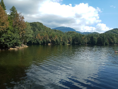 Firiza Baia Mare