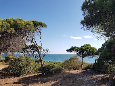 Pinar De La Almadraba — fotografia 4