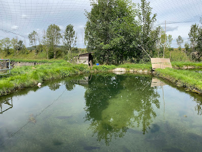 Matzes fish and Angel Park — fotografia 5