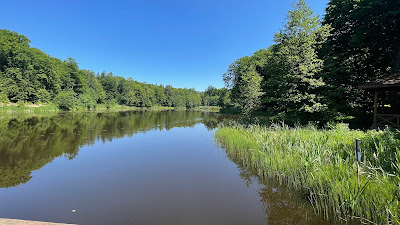 City Forest Giżycko — fotografia 3