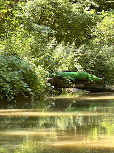 Boat tours of river Kamchia — fotografia 5