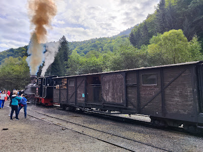 Stația Glimboaca CFF Mocăniță — fotografia 5