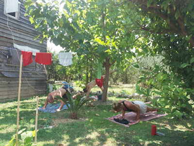 Good Energy Camping — fotografia 5