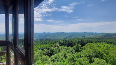 Brdo lookout tower — fotografia 3