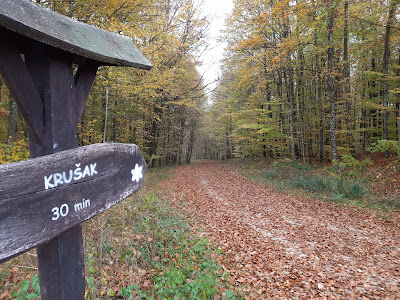 Pješačka poučna staza "Šumarica" — fotografia 5