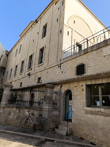 Archaeological Museum of Nafplio — fotografia 4