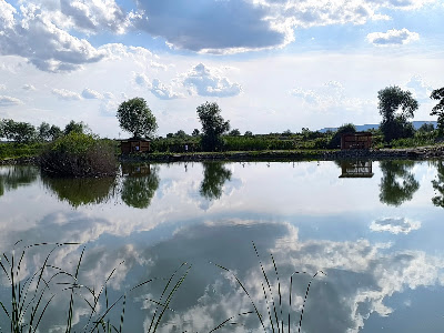 Damira Resort