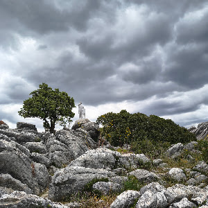 Parque Nacional Sierra de las Nieves — fotografia 5