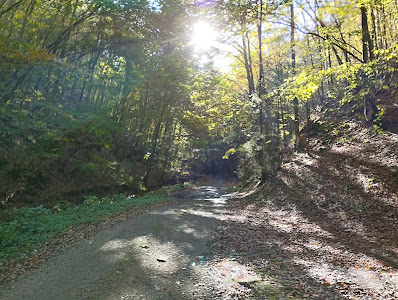 Cascada Boiului — fotografia 5