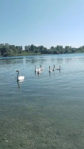 Sljunkara Beach — fotografia 4