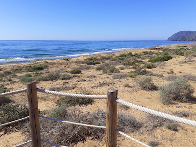 Playa Larga — fotografia 5