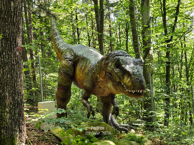 Dino Parc — fotografia 3
