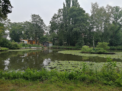 Angelteiche am 'Broicher Weiher'