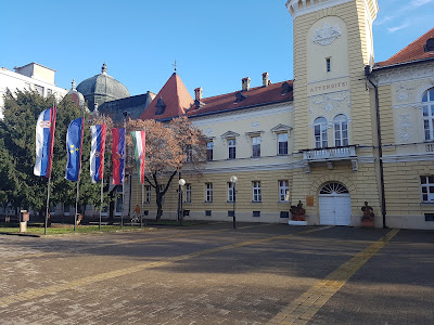 Muzeul Național Kikinda — fotografia 4