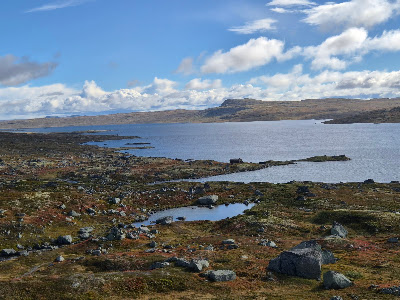 Rasteplass Hardangervidda