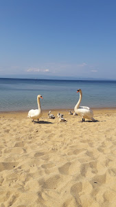 Agia Paraskevi beach — fotografia 5