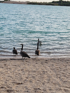 Epplesee — fotografia 5