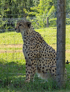 Tierpark Altenfelden — fotografia 5