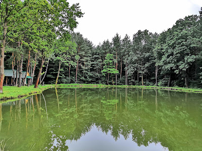 Rybník Vyšná Šebastová