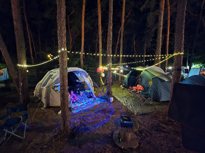 MOSiR w Wolsztynie - Camping nr 50 "Ustronie" w Karpicku — fotografia 5