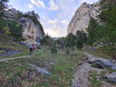 Cheile Șugăului — fotografia 5