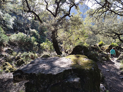 Llanos Del Campo — fotografia 5
