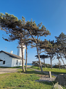 Sletterhage Fyr — fotografia 5