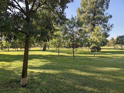Limanski Park — fotografia 5