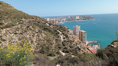 La Pineda de Bonavista — fotografia 4