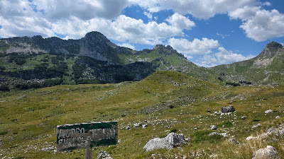 Stožina