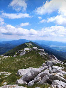 Plješivica