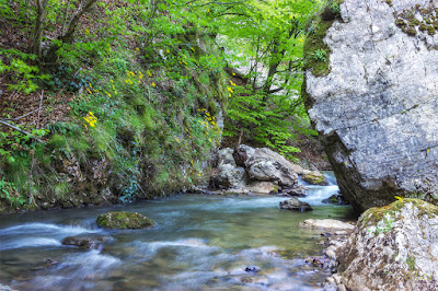 Cheile Lazuri — fotografia 5